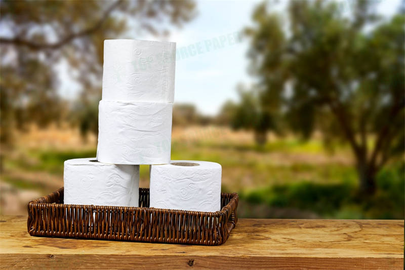 Toilet Paper Tube Length: Stan