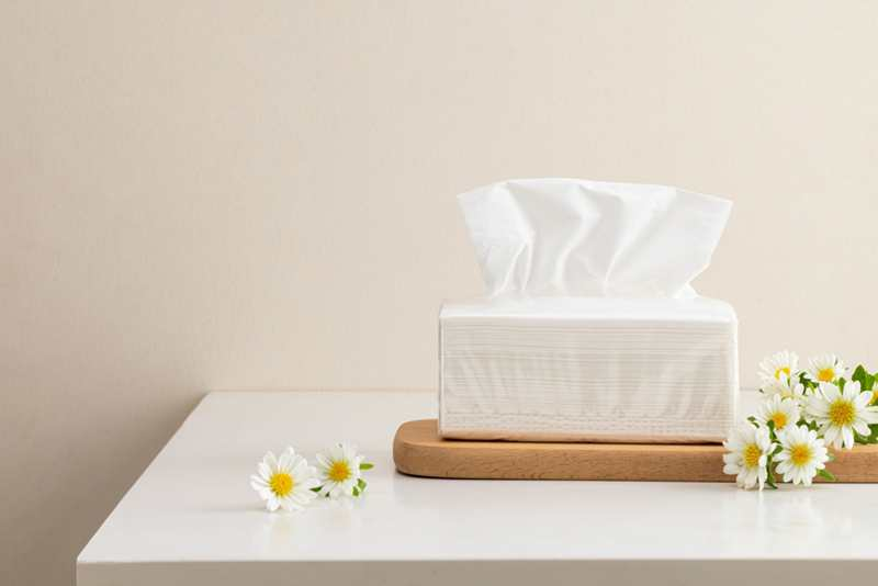 How to Make Toilet Paper From 