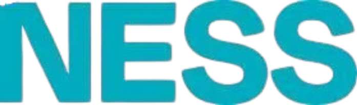 nesspapergroup